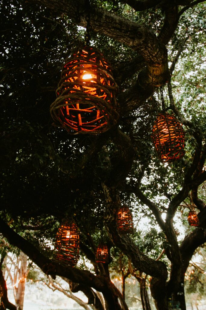 Lanterns hanging from the trees.